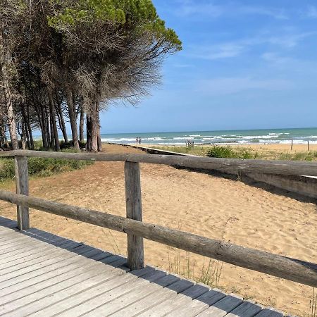 Malibu Apartments 比比翁 外观 照片