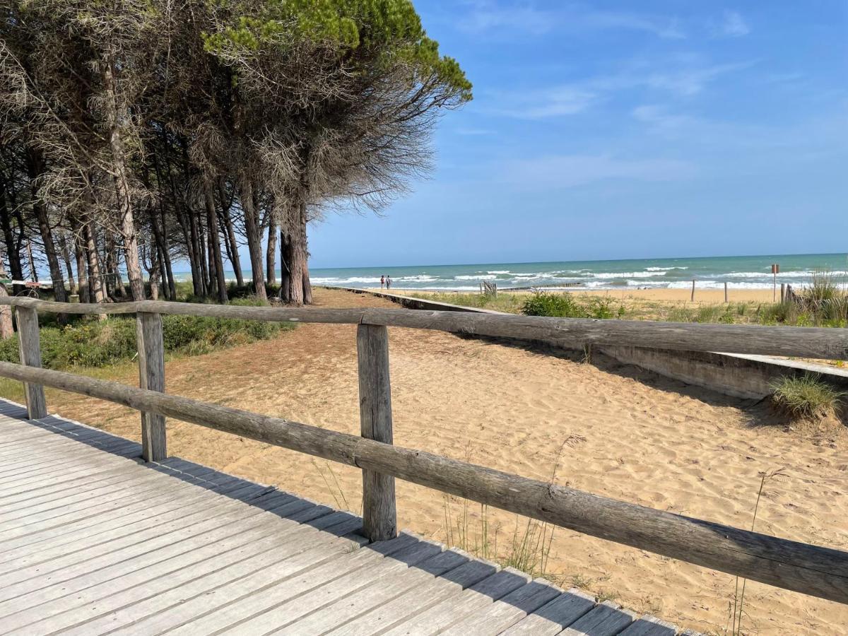 Malibu Apartments 比比翁 外观 照片